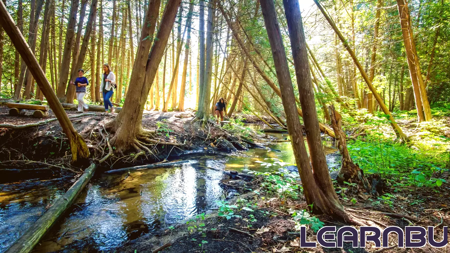 An Outdoor Classroom: ISEA Embraces Leo Creek Preserve